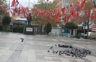 Manyas’ta meydanlar kuşlara kaldı