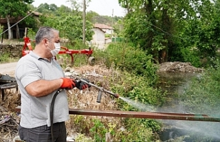 Altıeylül Belediyesi’nden Sivrisinek Ve Haşerelere...