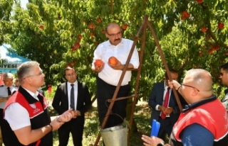 Vali Ustaoğlu Havran'da incirden sonra Kepsut'ta...