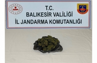 Balıkesir Jandarma’dan 9 ilçede operasyon