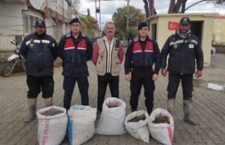 Yeşil altının bekçileri hırsızlara geçit vermiyor