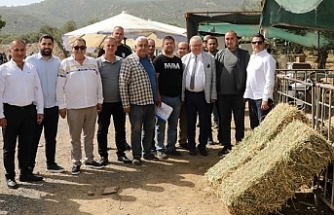 Edremit'te Başkan Ertaş'tan çiftçiye saman desteği
