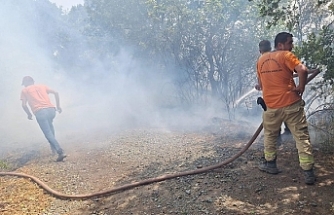 Balıkesir Kepsut'ta yangın ormanlık alana sıçradı