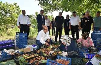 Vali Ustaoğlu, Havran'da incir topladı