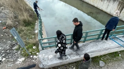 Ayvalık’ta Derede Mahsur Kalan Yavru Kedi Böyle Kurtarıldı